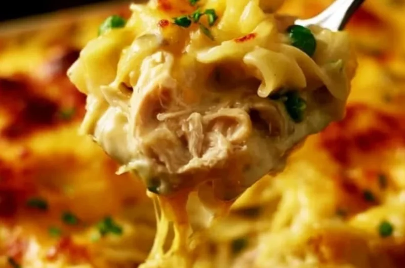 Delicious Pioneer Woman Chicken Noodle Casserole served in a baking dish